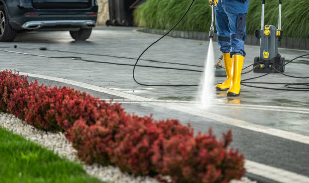 Best Soft Washing  in Perry, LA